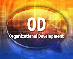 Organization Development “OD” Workshop.jpeg